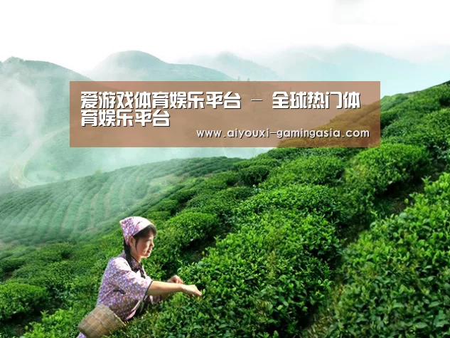 爱游戏体育娱乐平台 - 全球热门体育娱乐平台