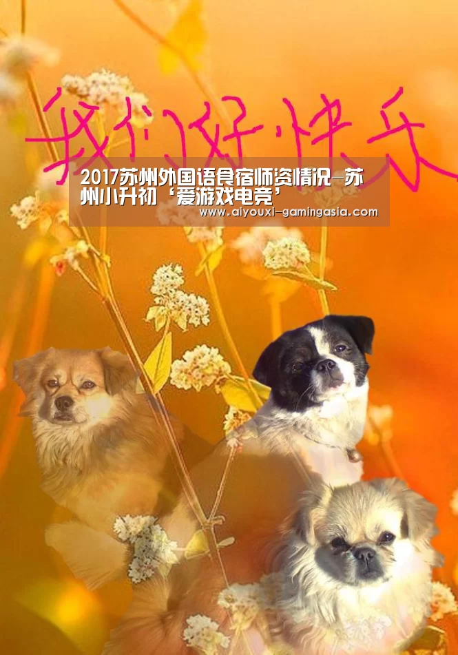 2017苏州外国语食宿师资情况-苏州小升初‘爱游戏电竞’(图2) 爱游戏亚洲体育