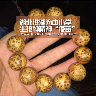 湖北洪湖为中小学生抢种精神“疫苗”|爱游戏体育娱乐平台(图1) 爱游戏亚洲体育