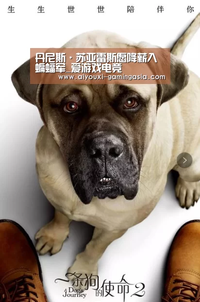 爱游戏滚球
