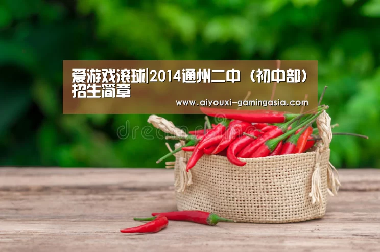 爱游戏体育娱乐平台